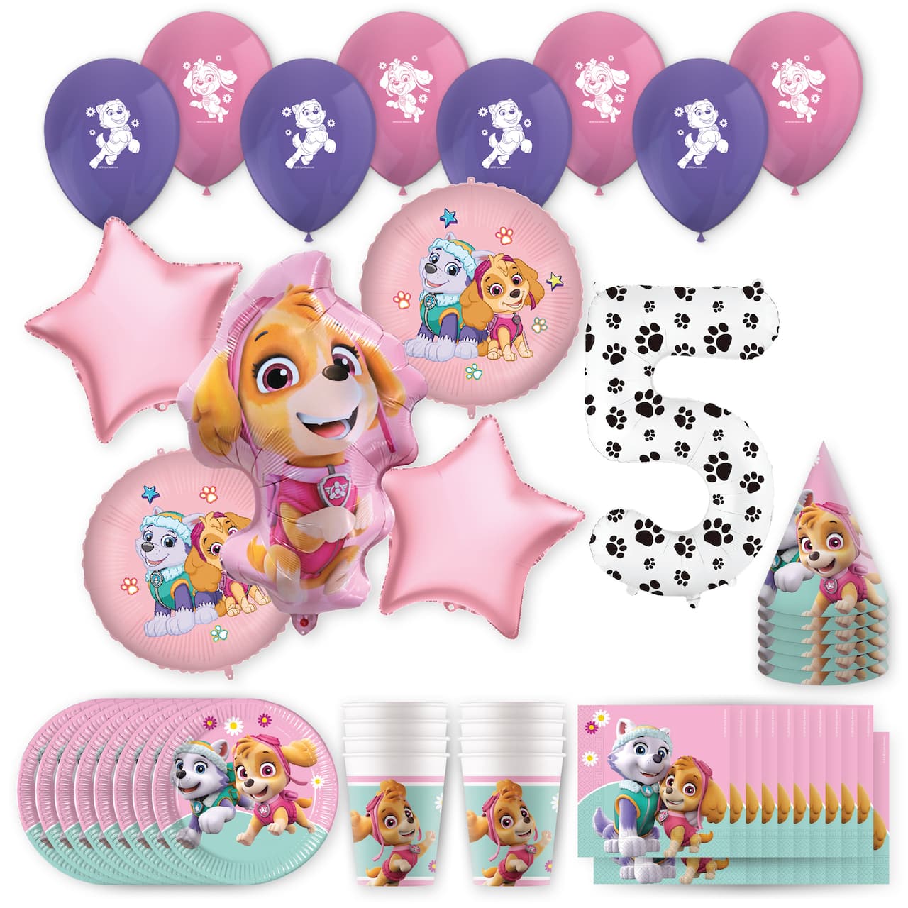 PAW Patrol™ Skye & Everest Birthday Party Kit with Number